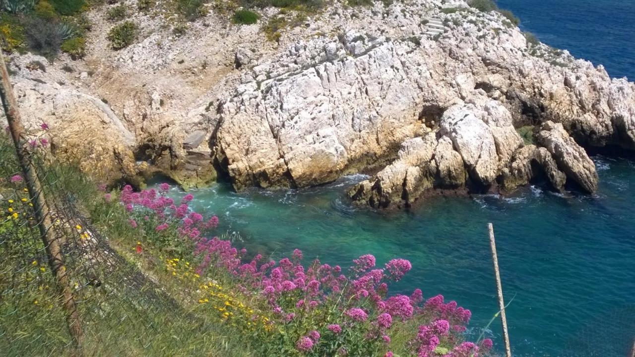 Petit Cocon A Mourepiane Appartement Marseilles Buitenkant foto
