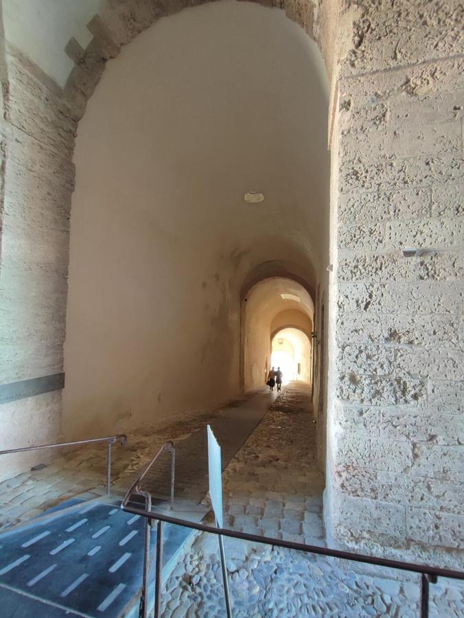 Petit Cocon A Mourepiane Appartement Marseilles Buitenkant foto